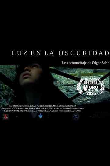 Luz en la oscuridad Poster