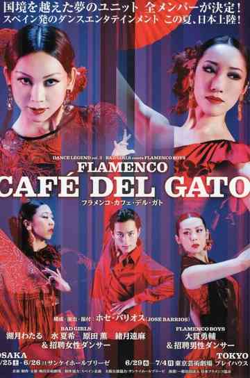 Flamenco Cafe Del Gato Poster