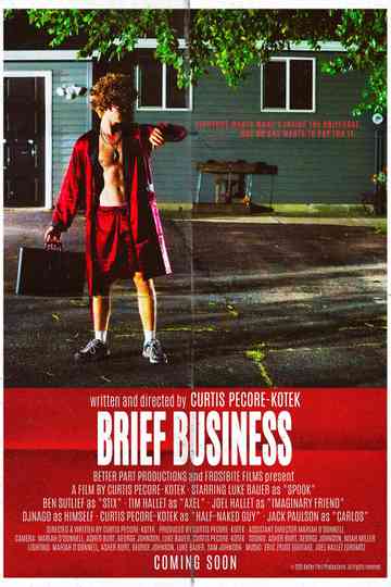 Brief Business Poster