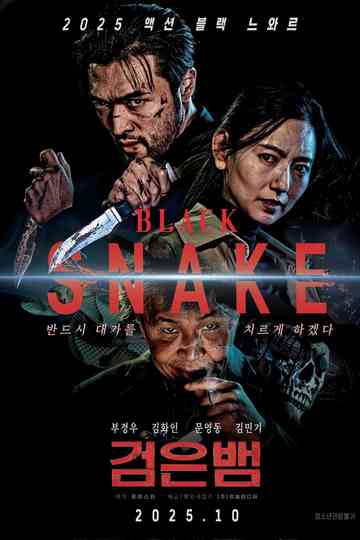 Black Snake Poster
