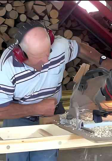 The Last Tree Ladder Maker Poster