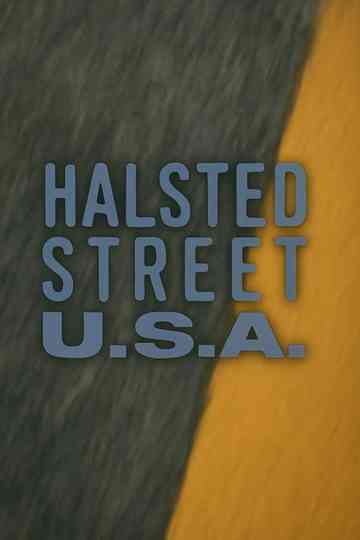 Halsted Street, USA Poster