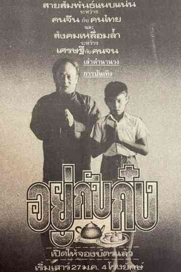 Living With Gong Poster