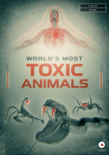 World's Most Toxic Animals