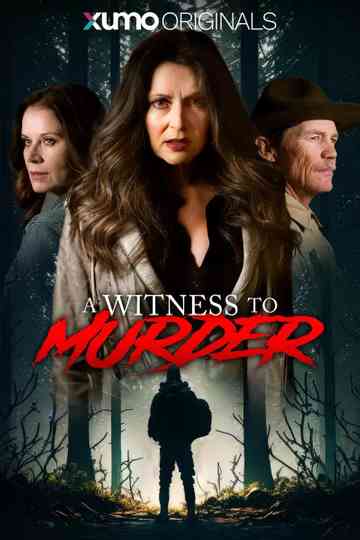 A Witness to Murder Poster
