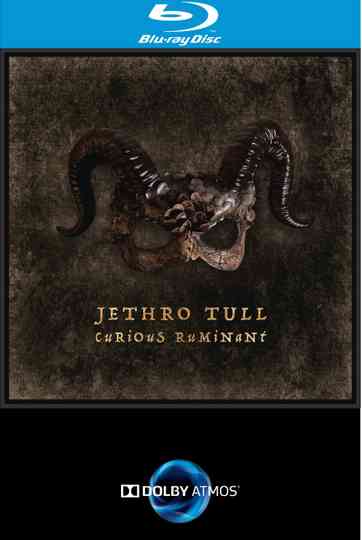 Jethro Tull - Curious Ruminant Poster