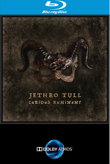 Jethro Tull - Curious Ruminant