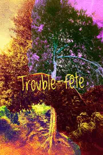 Documentaire | Vlog : Trouble fête Poster