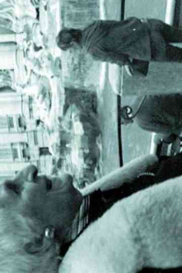 THE INTERPRETER OF BLACK AND WHITE FILMS Poster