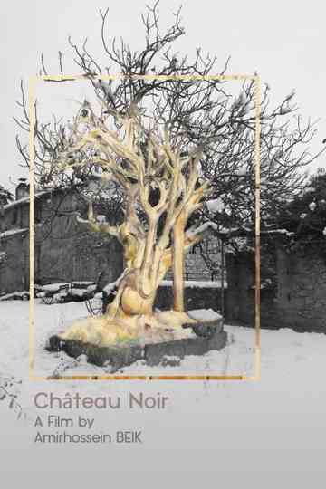 Château Noir Poster