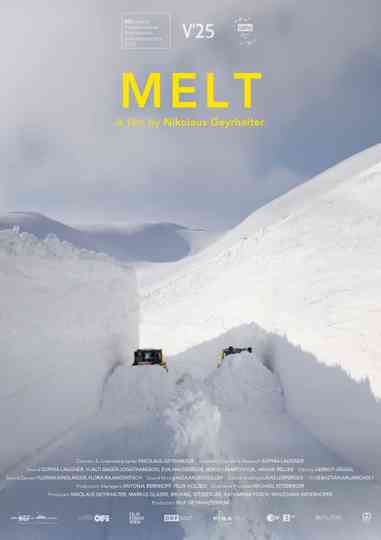 Melt Poster