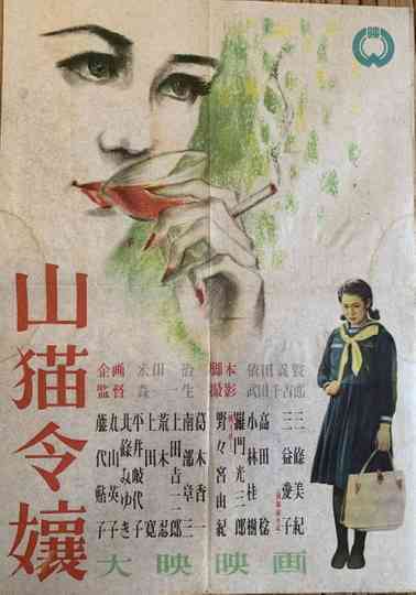 Wildcat Lady or Mountain Cat Woman Poster