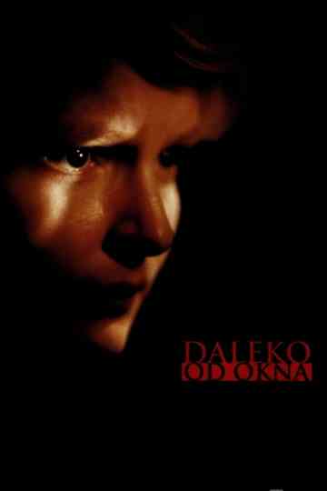 Keep Away from the Window Poster