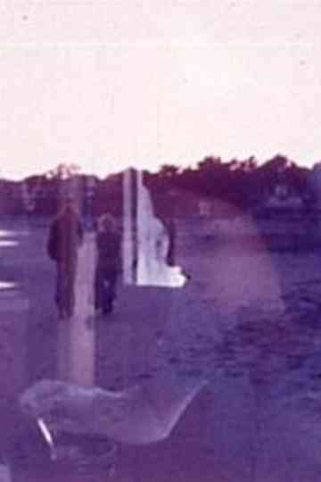 Superimposition Poster