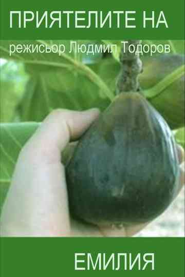 Emilia's Friends Poster