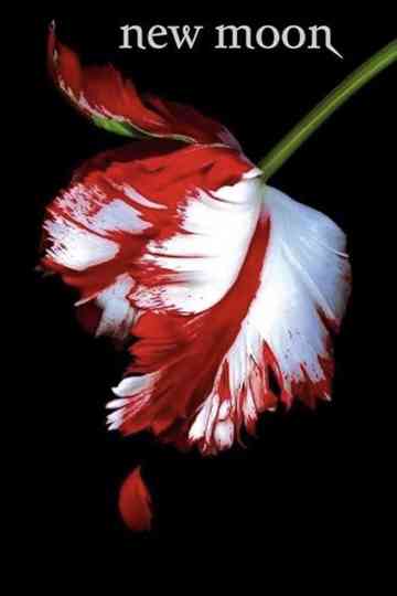 New Moon: The Journey Continues Poster