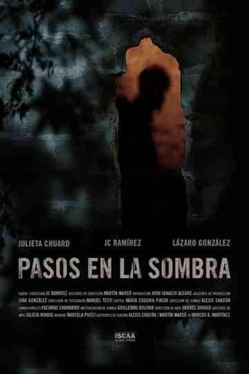 Pasos en la sombra Poster