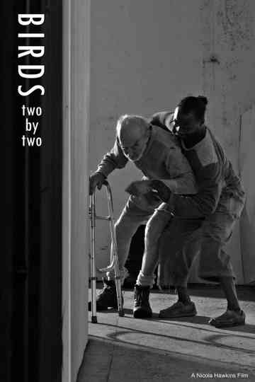 Birds Two by Two Poster