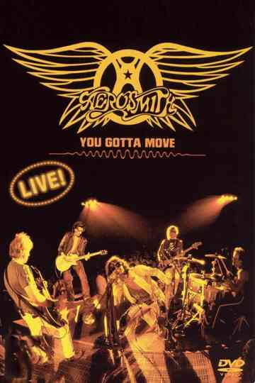 Aerosmith  You Gotta Move Poster
