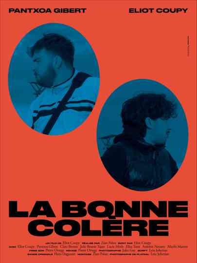 La Bonne Colère Poster