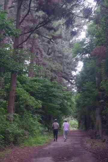 The Time of Jeju Poster