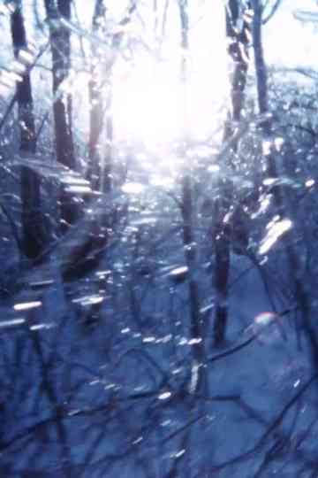 Third Law of Thermodynamics Poster