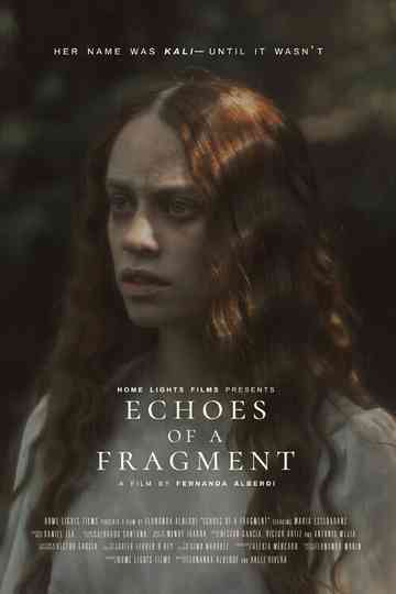 Echoes of a Fragment Poster