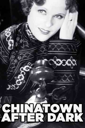 Chinatown After Dark Poster