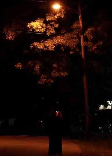 Into The Shadows Poster