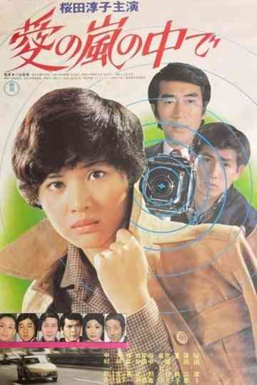 Inside the Storm of Love Poster