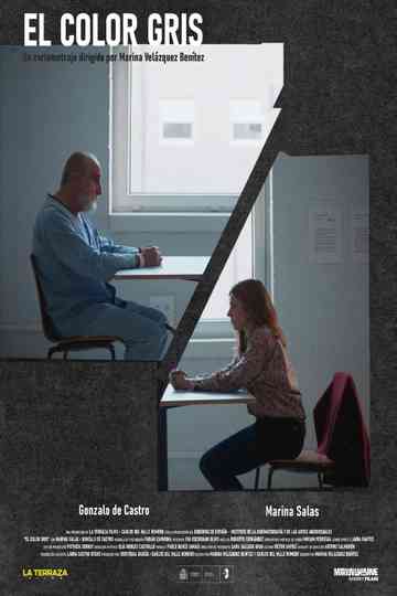 El color gris Poster