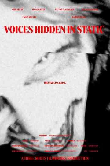 Voices Hidden in Static Poster