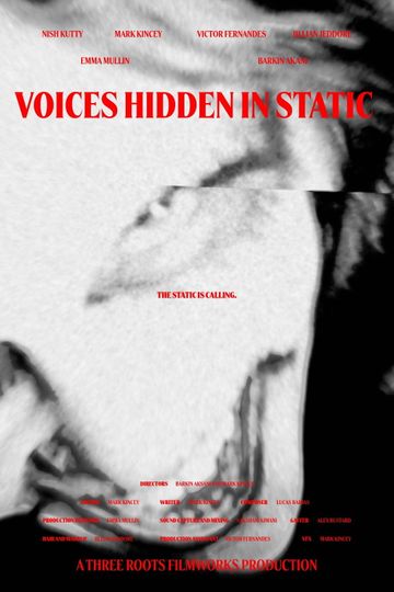 Voices Hidden in Static