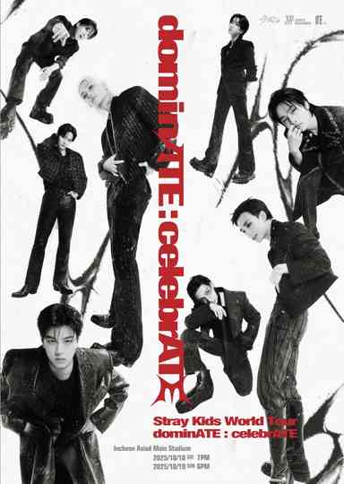 Beyond LIVE - Stray Kids World Tour〈dominATE : celebrATE〉 Poster