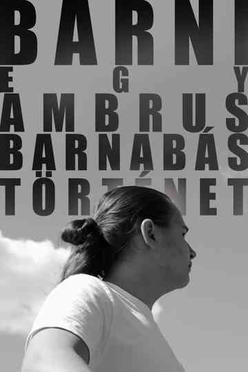 BARNI: A Barnabás Ambrus Story Poster
