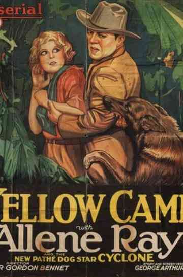 The Yellow Cameo Poster