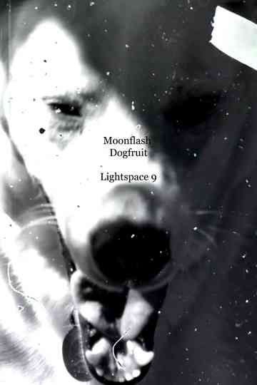 Moonflash Dogfruit Poster