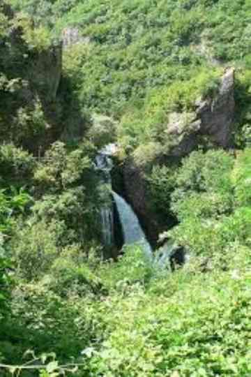 Sara Original Poster