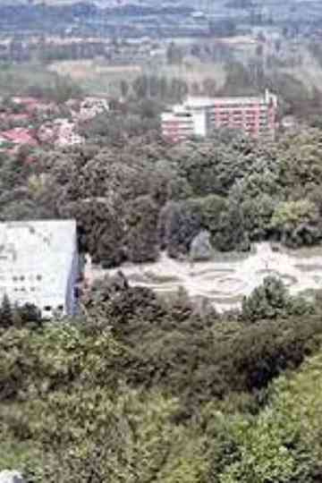 Sara Reupload Poster