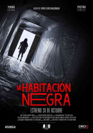 La Habitación Negra Poster