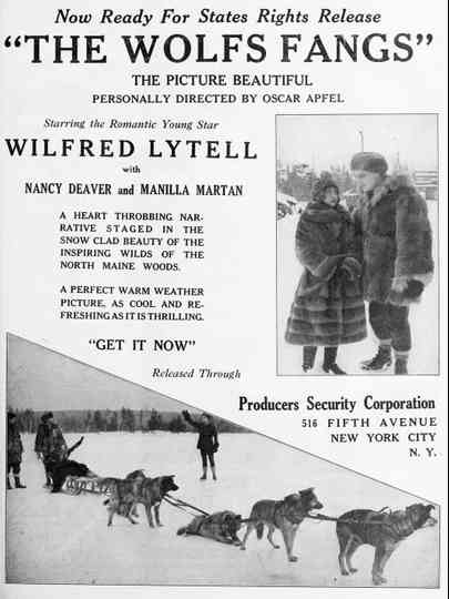 The Wolf's Fangs Poster