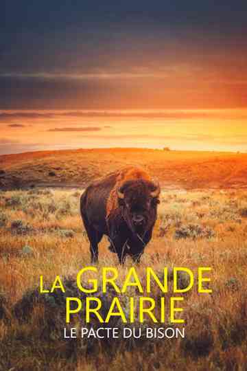 La grande prairie, le pacte du bison Poster