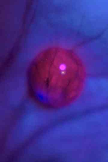 Idak-Idak-Idak Poster