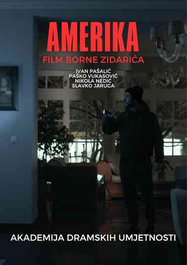 America Poster