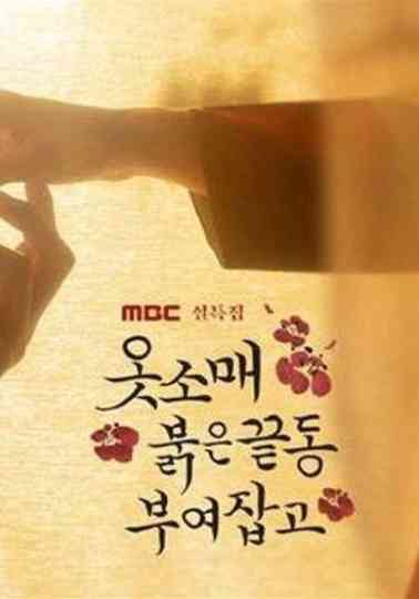 The Red Sleeve Talk Show Poster