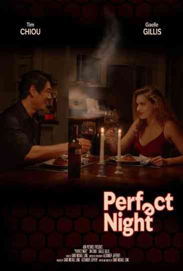 Perfect Night Poster