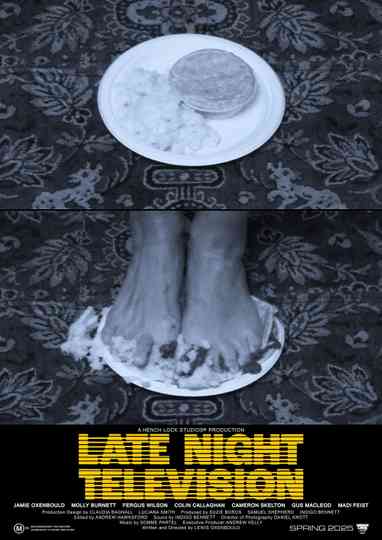 Late Night Television Poster
