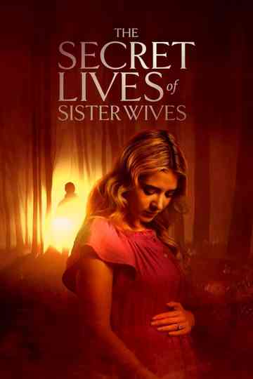 The Secret Lives of Sister Wives Poster