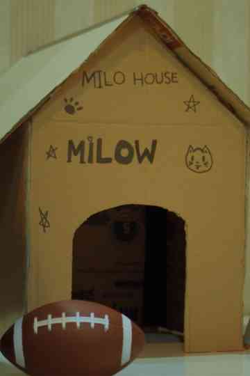 Where Milo Used to Sleep Poster