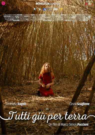 Tutti giù per terra Poster